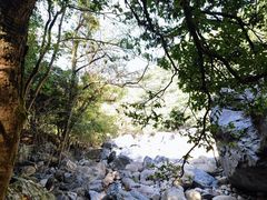 -石台牯牛降景区