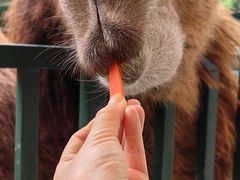 -海合安武汉极地海洋公园