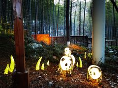 -天目湖御水温泉·度假酒店