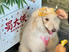 -蜀大侠火锅(春熙路店)