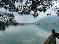 -广州市流溪河国家森林公园