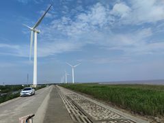 -上海海湾国家森林公园