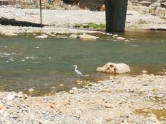 -红井路游艺炖锅·音乐餐吧(十渡店)