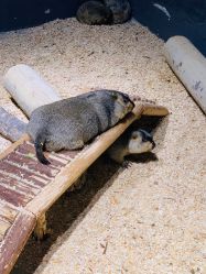 -酷嗒动物文化乐园(cutezoo西溪乐天城店)