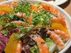 -O'eat Blossom&Pelican(深圳首店)
