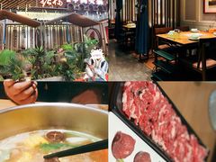 -掂档潮汕牛肉火锅(沈阳万象城店)
