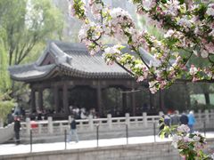 -海棠花溪(元大都城垣遗址公园)