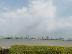 -海鸥岛