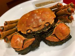 熟醉蟹-老吉士酒家(天平路店)