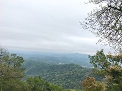 -广州市帽峰山景区