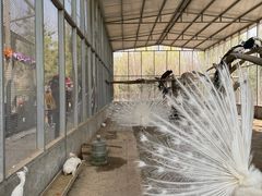 -第五季龙水凤港生态露营农场