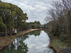 -昆山城市生态森林公园