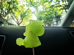 -茶是一枝花泡茶店