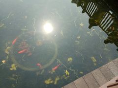 -苏州河梦清园环保主题公园