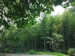景点-黄公望隐居地