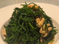 -老阿妈蒙古村·蒙古包·草原文化·歌舞表演(老君堂店)