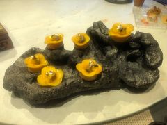 川味香芒鹅肝-鱼桥巷·美学川菜