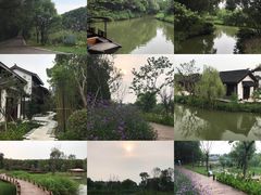 -同里国家湿地公园