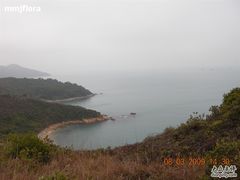 -南丫岛