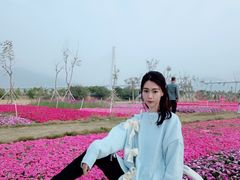 -芒洲湿地公园