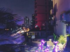 -虹祺花苑