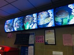 -朝阳路拉面店