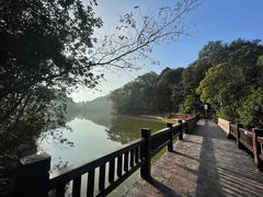 -广州市石门国家森林公园