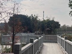 -王借岗森林公园