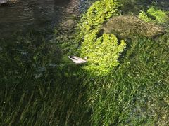 -水磨沟公园