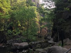 -茅兰沟国家森林公园