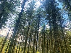 -硗碛藏寨·神木垒景区