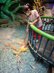 -酷嗒动物文化乐园(cutezoo西溪乐天城店)