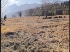 -塔川景区