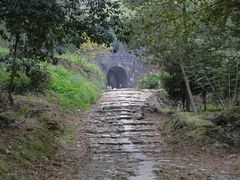 -仙霞关景区