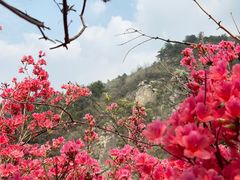-木兰云雾山