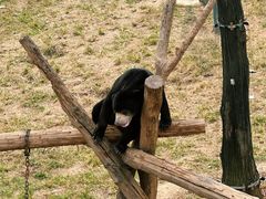 -石家庄市动物园