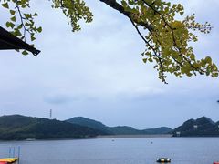 -宁波九龙湖开元度假村