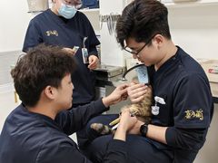 -喜多萌中农锦绣动物医院24H·猫科·牙科MRI·CT