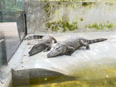 -昆明动物园