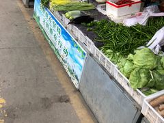 自助取餐区-站前农贸市场(金源路)