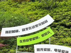 -长谷洞天