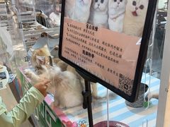 -竹青胶东摔面(黄岛开发区店)