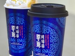 -鲜芒多·杨枝甘露(摩尔城A座10楼店)