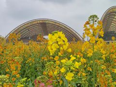 -中国天府农业博览园