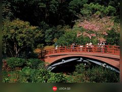 -云溪植物园