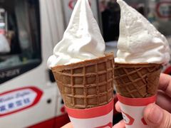 -富豪雪糕车流动点(尖沙咀店)