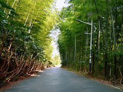 -石塘人家