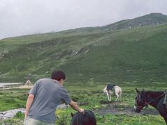 -甘孜康定机场