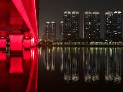-五缘湾湿地公园