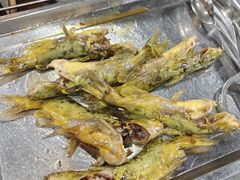 -贺庄·活鱼馆(珠吉路店)